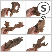 맹그로브 유목 소형 13~18cm 3개