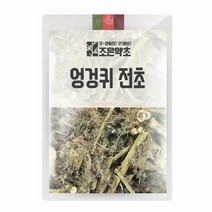굿허브 엉겅퀴 전초(대계초) 200g, 단품, 1개