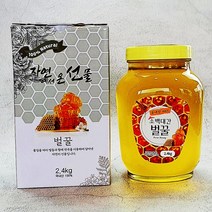 꿀쟁이 인기 상위 20개 장단점 및 상품평