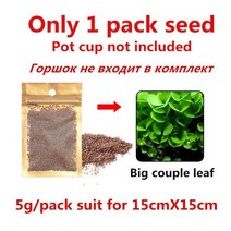 일자 잔가지 그루터기 유목 유리 물고기 탱크 공장 분재 미니 냄비 수족관 물 잔디 식물, 큰 잎