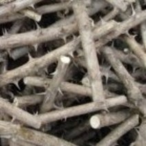 가시 엄나무건재 600g, 1개