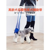 애완용품 슬개골탈구 장애견 다리밴드 휠체어 고령견년 노령개 뒷다리조력병 장애 마비된 강아지 보조대 척추후지, 03 살사, 01 XXL사이즈를 정확하게 측정해죠