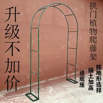 정원 가든아치 단독주택 꾸미기 아치 등나무 브래킷 철제 장미 포도 랙 야외 발코니 꽃 장식, [20]  신축 보강아치300x240x40, [01] 중간