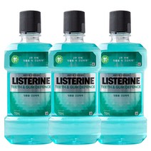 리스테린 티스 앤 검디펜스750ml X 3개입 구강청결제, 750g