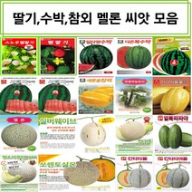 코리아팜 딸기 수박 참외 멜론씨앗/스노우벨딸기/뱀딸기/달타령수박/더존복수박/넘버원꿀수박/서태자수박/새론꿀참외/방울하늘참외/마니따벌꿀참외/멜론/실버웨이브멜론/싼타페멜론/쏘렌토살몬멜론, 16.아시아종묘-얼스마운틴PMR 100립