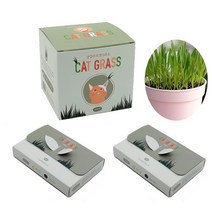 캣그라스 리필세트 고양이풀 화분 식물키우기 캣닢 귀리 밀 보리 재배 반려묘 헤어볼 작물 새싹 간식 씨앗, 밀세트(본품1개+리필키트2개)
