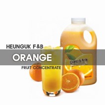 흥국에프앤비 흥국 FnB 오렌지농축액, 단품
