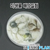 엑스사이언스 초등과학실험 작은 생물의 세계 [곰팡이] 미생물 배양, 5인