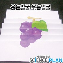 엑스사이언스 초등 재미있는 과학실험 [착시효과] 웃는 얼굴 우는 얼굴, 5인