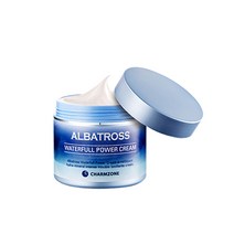 알바트로스 참존 알바트로스워터플파워크림, 100ml, 1개