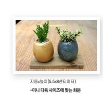 그린플랜트 화분 분갈이용품 흙 마사토 배양토 식물영양제, 화분-소형_엔틱계란(3개1세트 색상랜덤), 1개, 1개