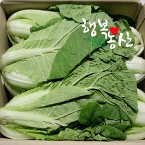 싱싱한 당일작업 얼갈이 배추 2~4kg, 1box, 얼갈이배추2kg내외