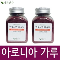 바른건강 아로니아분말 크랜베리/기타베리류, 1개, 100g, 100g