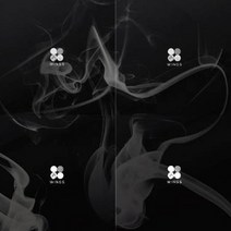 1CD_방탄소년단(BTS)-정규2집[WINGS](4종류세트상품)(폴라로이드4종랜덤온팩), 1