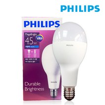 필립스 LED 메가브라이트 램프 45W E26 E39, E39 주광색, 1개