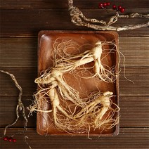 풍기농부 풍기인삼 5년근 못난이삼 1채750g 인삼/수삼/장뇌삼, 1Ea, 750g