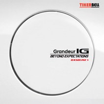 티커벨 그랜져IG 주유구 TKGDS-02, 레드-LPG, 1개