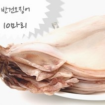 아이스박스 포장 반건오징어, 1개, 10마리, 1.6kg내외