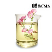 마타바 달맞이꽃 종자유 오일(정제) 비누베이스/기타재료, 100ml