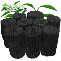 공기정화용숯 새집증후군 냄새제거 탈취 제습 가습 참숯 흑탄 10kg 높이15cm, 1개