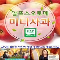 세척 알프스오토메(미니사과) 루비에스 제과점 데코용 2kg, 루비에스 데코용(과실수60~90)