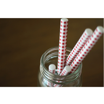 [다카쿠와] 일본 스텐레스커트러리-체크메이트5종 장인이 만들어낸 고퀄리티 수공예품, 디져트스픈 레드