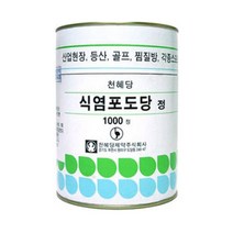 천혜당 식염포도당, 1개, 667g