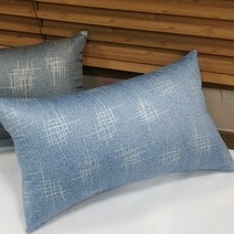 쭈앙 바론 솜포함 쿠션, 블루