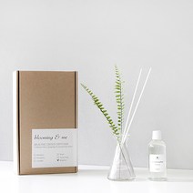블루밍앤미 숲속의 향기 디퓨저 6종, 유칼립투스:1-2그린leaf(트로피칼)-그린