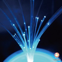 사이언스존 [한밤의 불꽃 축제 (전해질 광섬유) 5인용] 과학실험키트 학습교구세트