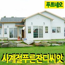 푸르네오 [오후5시 이전 주문 당일 발송] 사계절푸른잔디씨앗 잔디씨 잔디씨앗 정원용 (밭흙), 1개