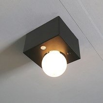 조명나무 슈가 센서등 직부등 현관등 베란다등 계단 LED센서, 블랙(직부등)-LED볼구(흰빛)