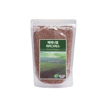 양잔디씨앗 페레니얼라이그라스 500g, 1개