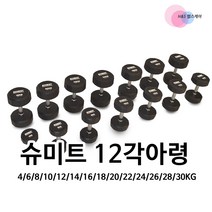 12각 육각 고무 덤벨(아령) 근력강화 무게조절 헬스기구 (kg기준), 블랙, 10kg