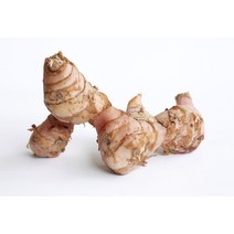 생강(령) 1kg, 1개, 5kg