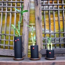 자연에1 천연가습기 개운죽 옹기 숯 화분 수반