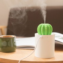 [오픈마켓] 선인장 USB 미니 가습기, 화이트