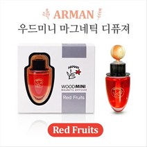영진자동차 아르망 우드미니 마그네틱 디퓨져(12ml) - 레드후르츠, 12ml, 1개