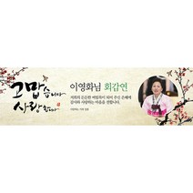 애니데이파티 오리엔탈매화 현수막 포토형, 회갑(환갑)