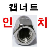 동원볼트 캡너트 인치너트 인지너트 캡 너트 너트볼트 볼트캡, 20개