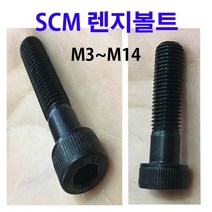 SCM 특강 렌지볼트 20개