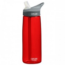 카멜백 에디 물병, Rain, 750ml