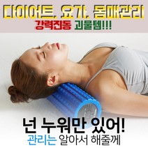 몬스터스틱 [진동폼롤러] EPP재질 블랙색상 전신코어운동 진동 안마기, EPP_블랙
