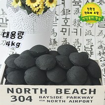 반딧불이 야자숯 코코넛 볼 -4kg, 1개, 4kg