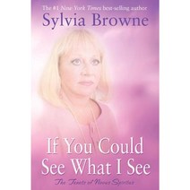 If You Could See What I See: The Tenets of Novus Spiritus Paperback, Hay House