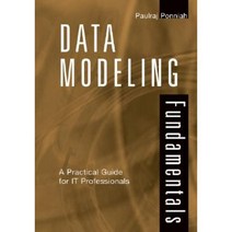 Data Modeling Fundamentals: A Practical Guide for IT Professionals Hardcover, Wiley-Interscience