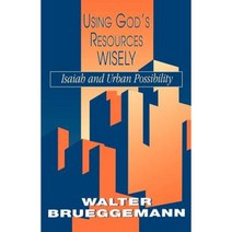 Using God's Resources Wisely Paperback, Westminster John Knox Press