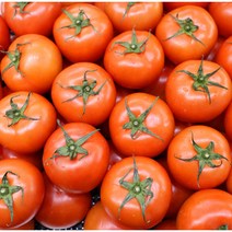유럽종 완숙 토마토 5kg (2번과), 1박스