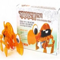 오피스안 [4족보행 동물로봇 시리즈] 거북이로봇