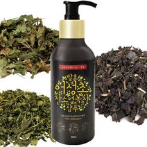 바른건강 순하고 자극없는 발효 어성초자소엽녹차 샴푸, 2개, 300ml